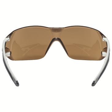 Bügelbrille uvex pheos nxt CBR65 sv exc. (91282)