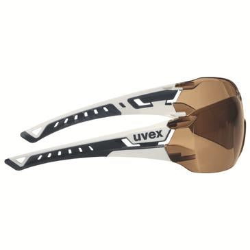 Bügelbrille uvex pheos nxt CBR65 sv exc. (91282)