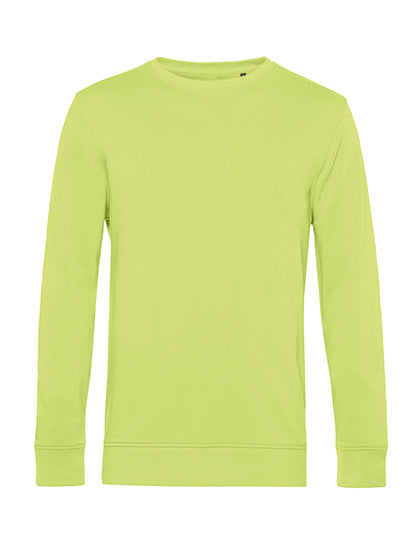 BCWU31B_Lime.jpg
