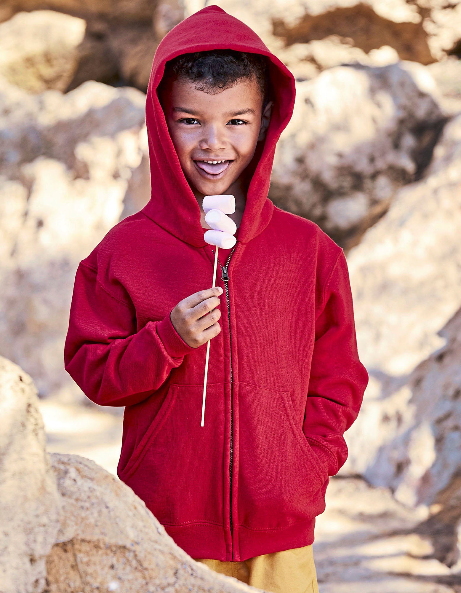F401NK.jpg