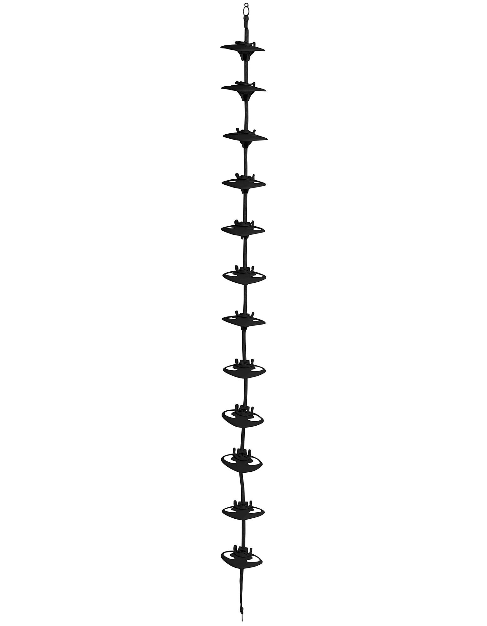 FF009.jpg