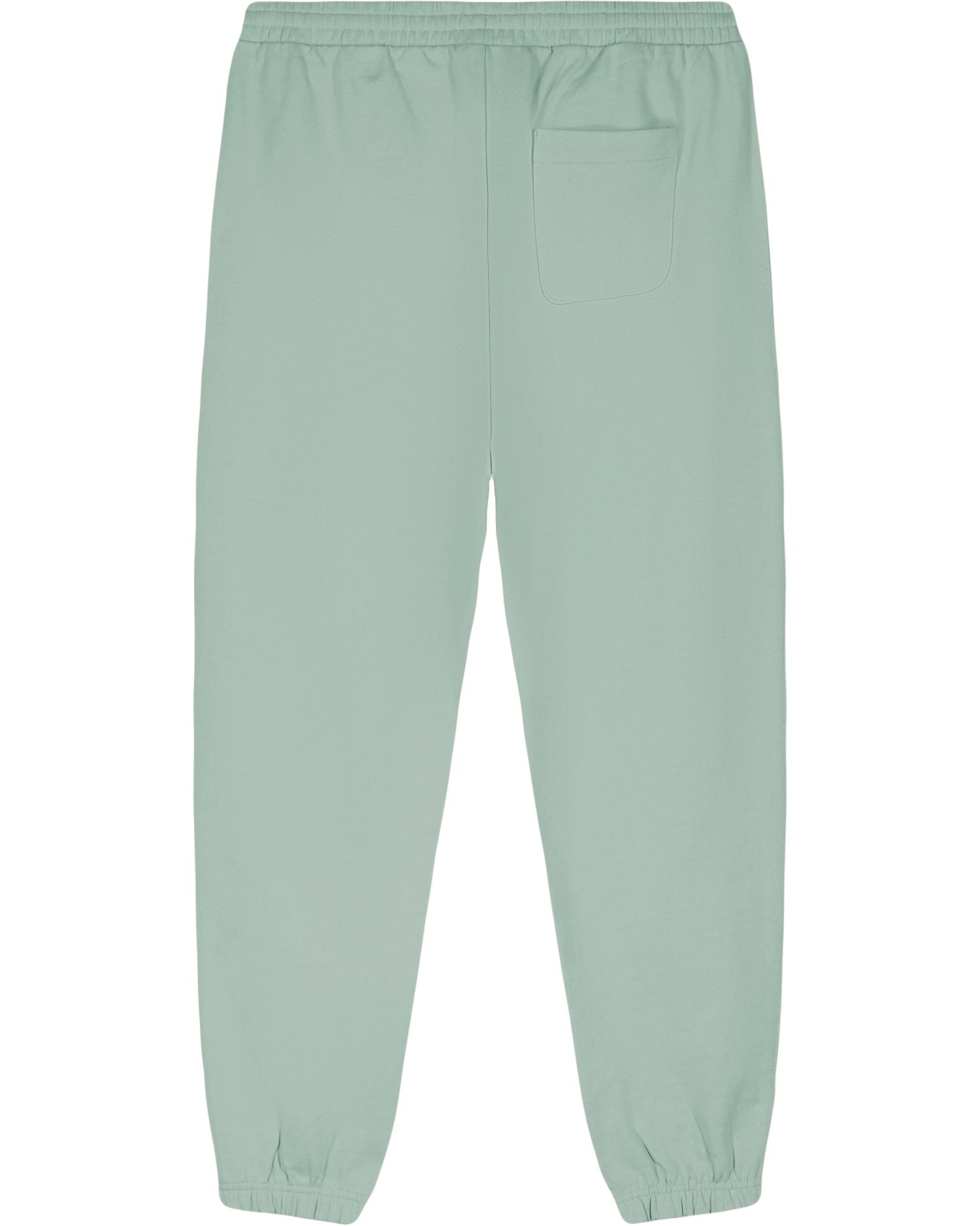 Aloe | STBU157 Packshot Main PBM0