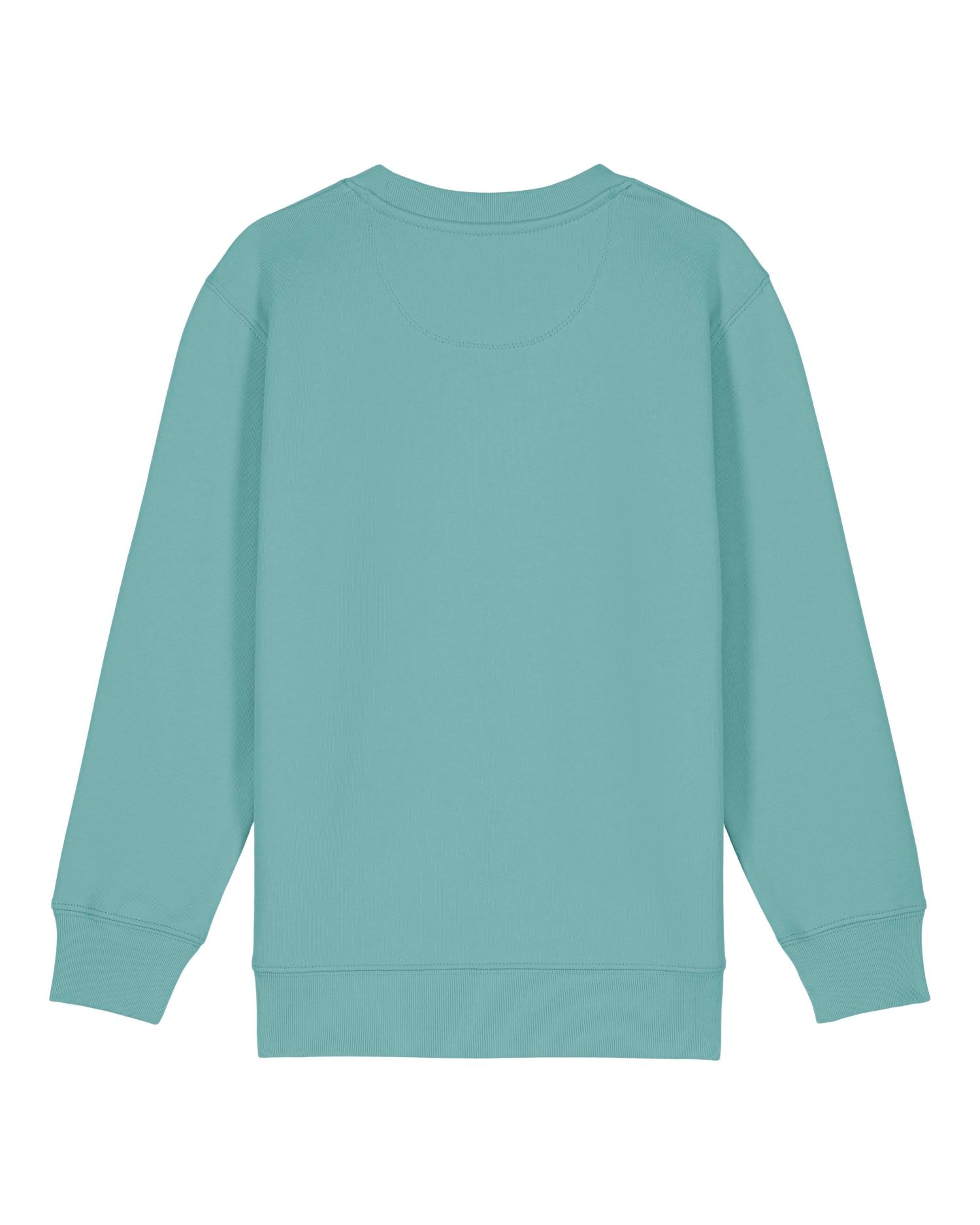 Teal Monstera | STSK181 Packshot Main PBM0