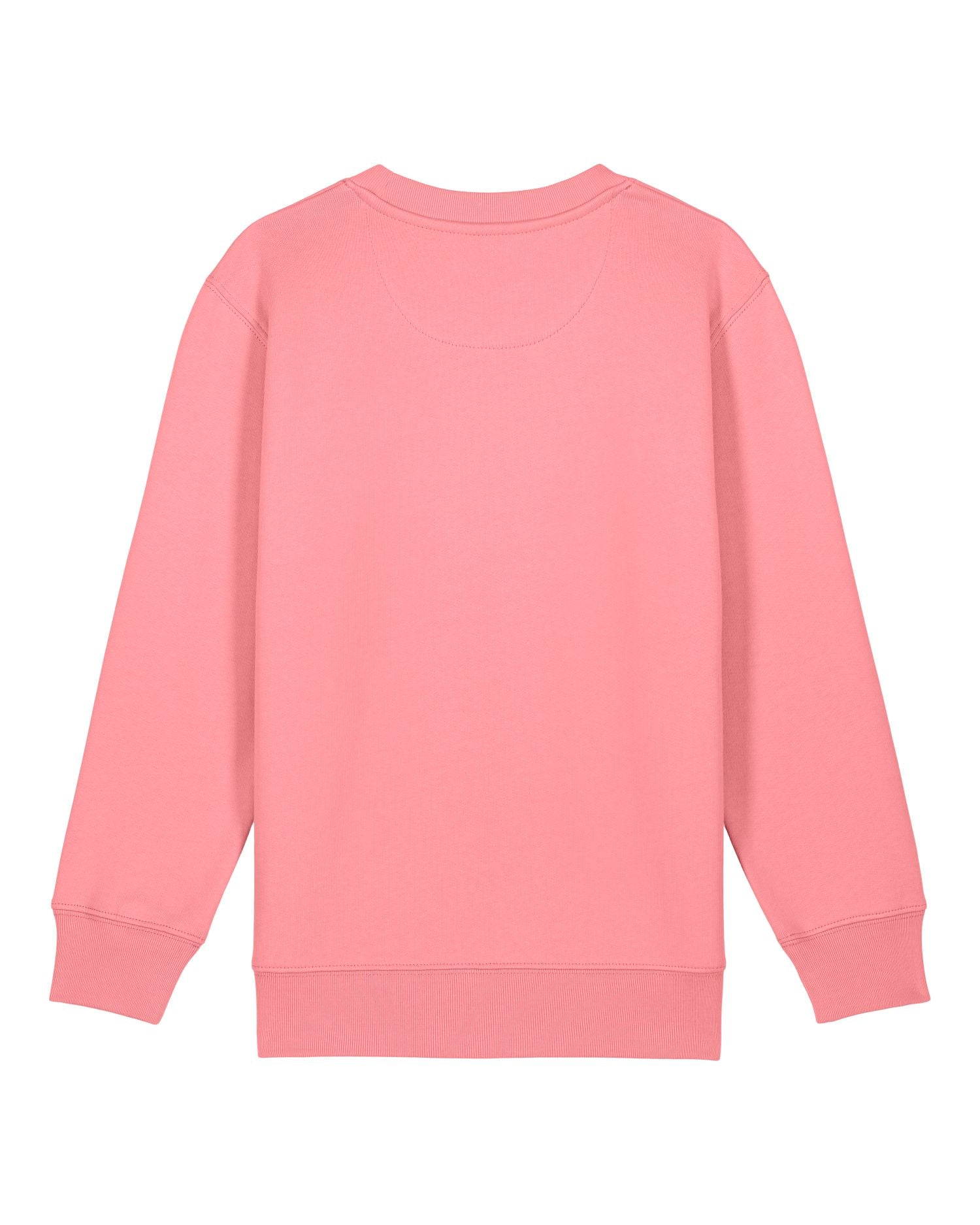 Pink Joy | STSK181 Packshot Main PBM0