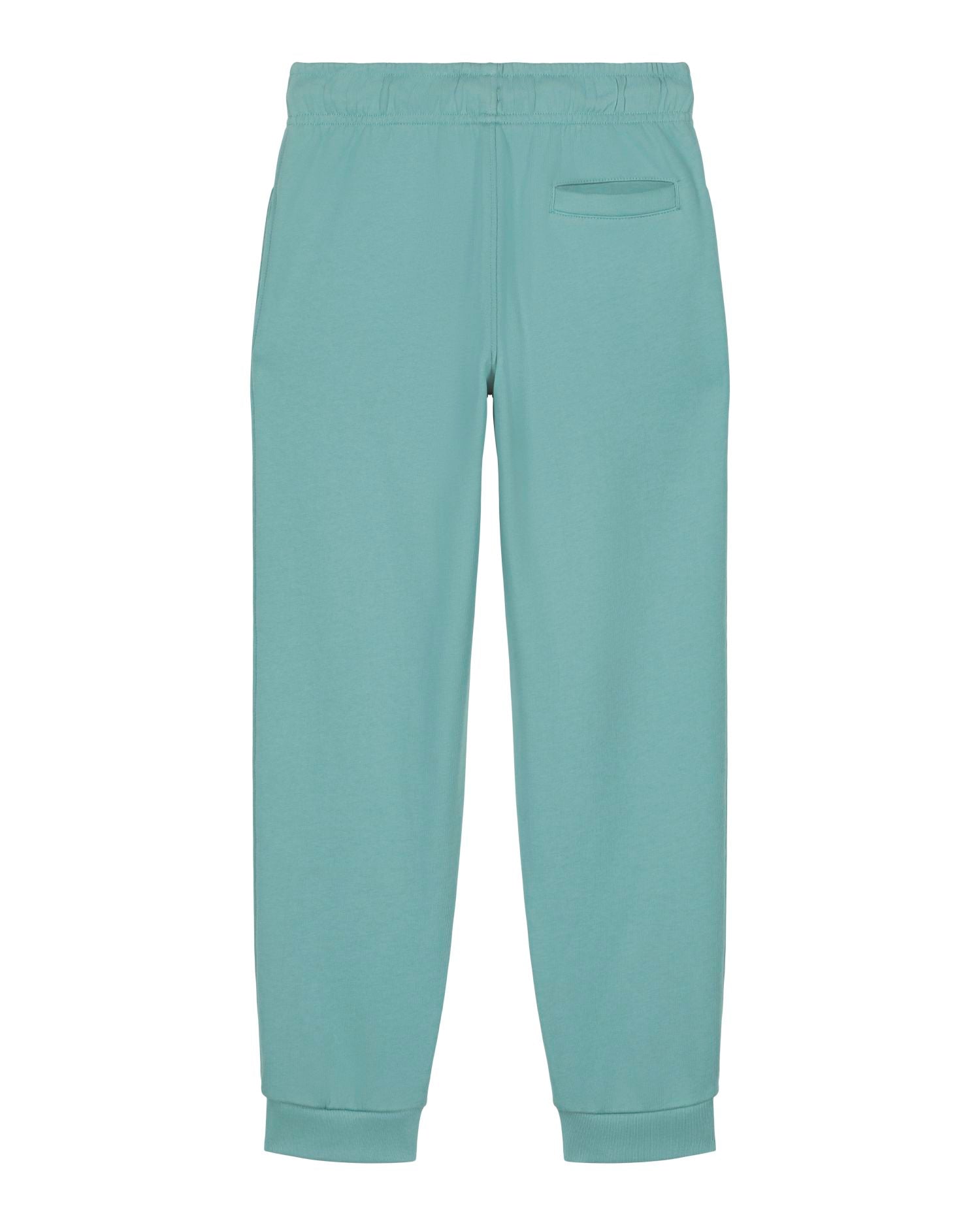 Teal Monstera | STSK183 Packshot Main PBM0