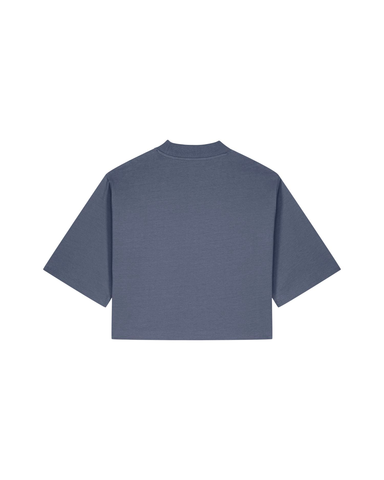 Blue Grey | STTW259 Packshot Main PBM0