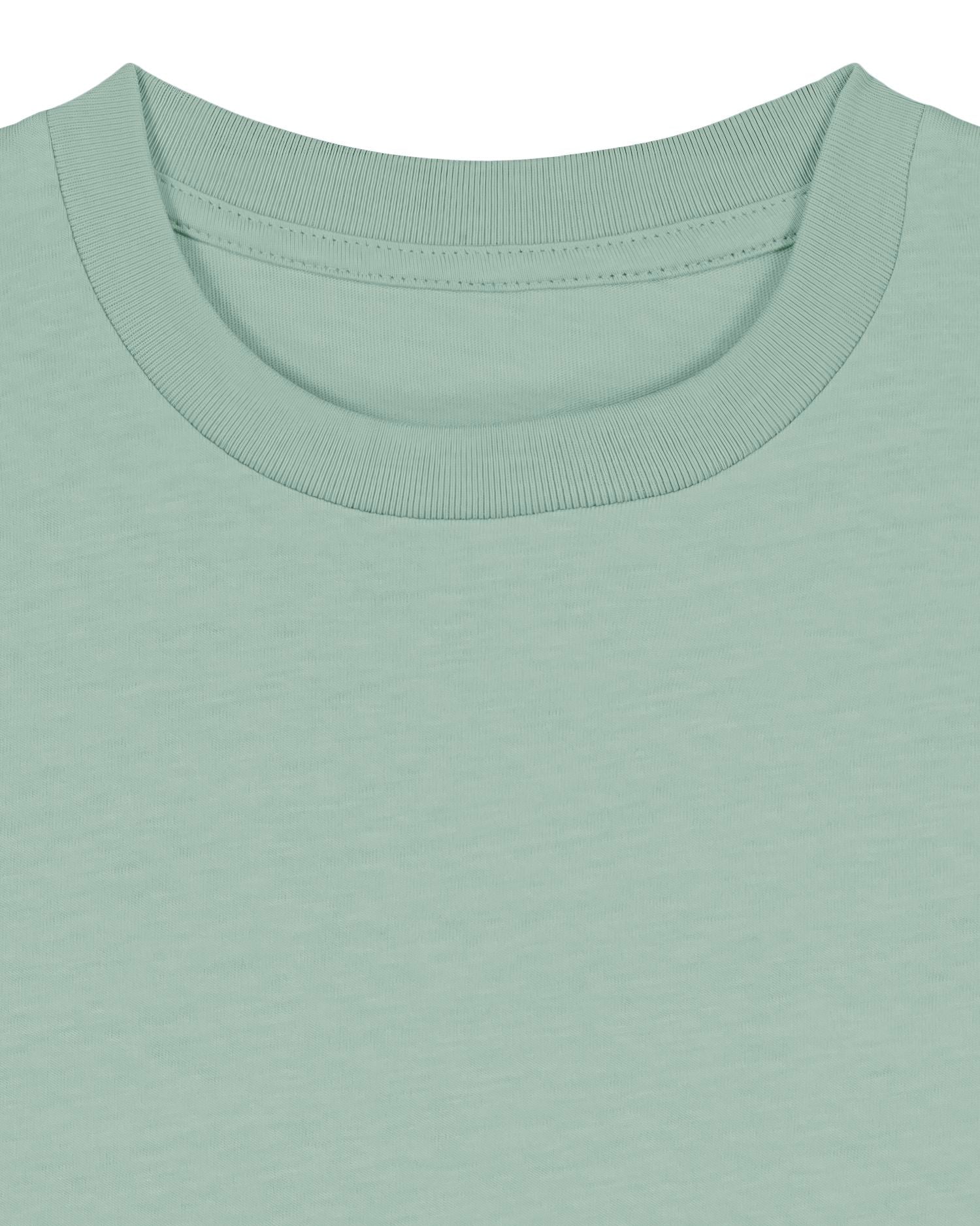 Aloe | STTK184 Packshot Detail PFD0