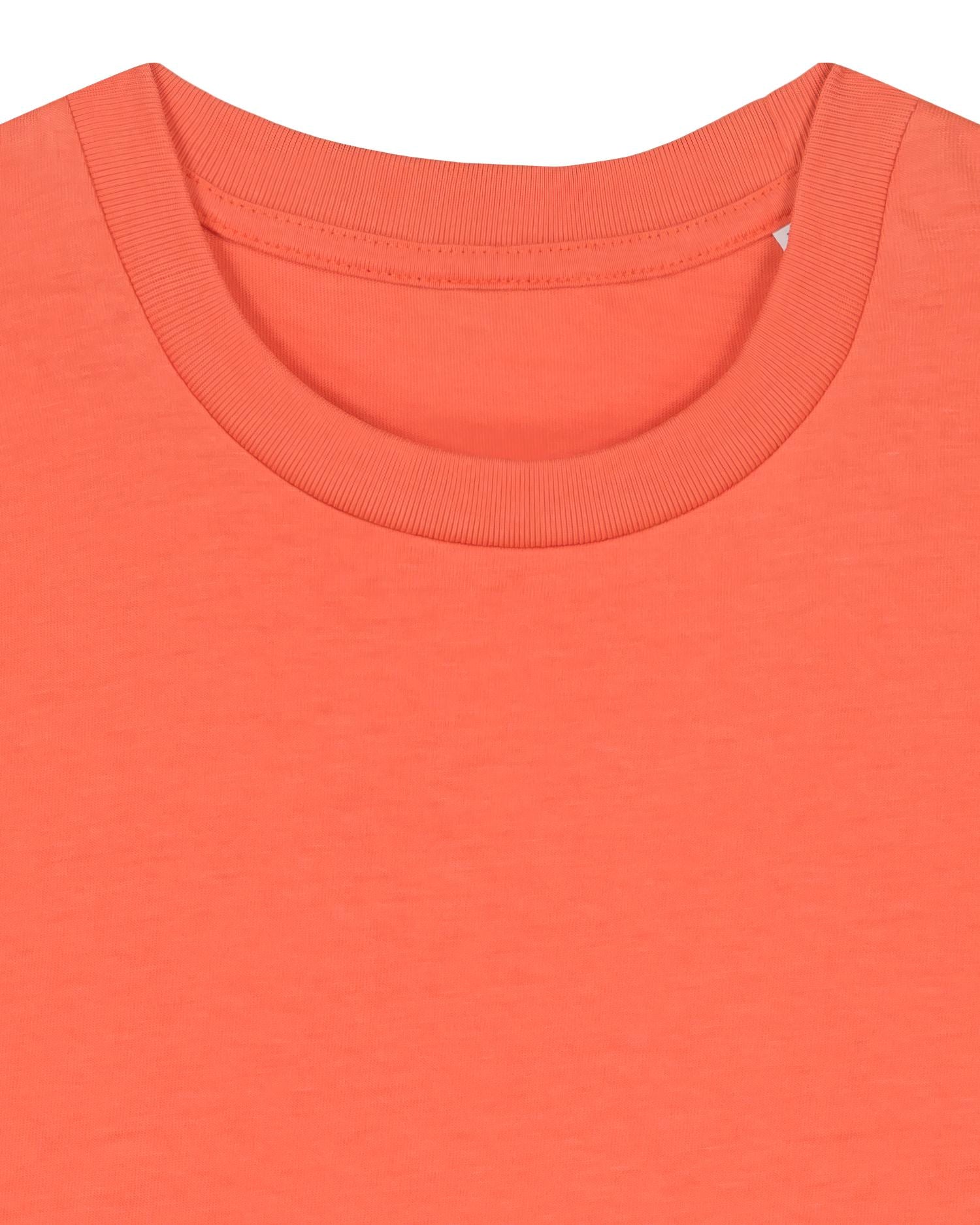 Fiesta | STTK184 Packshot Detail PFD0