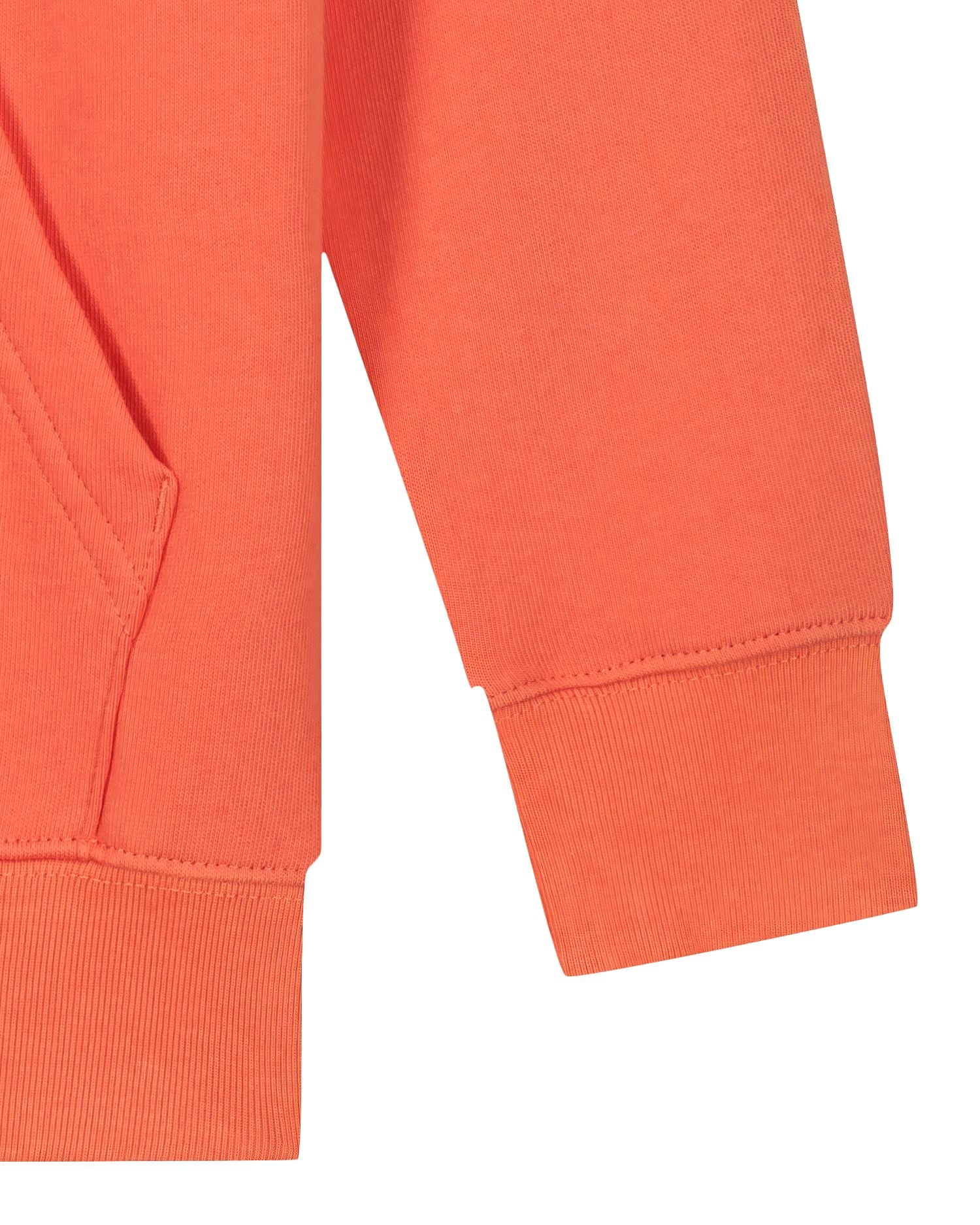 Fiesta | STSK180 Packshot Detail PFD1