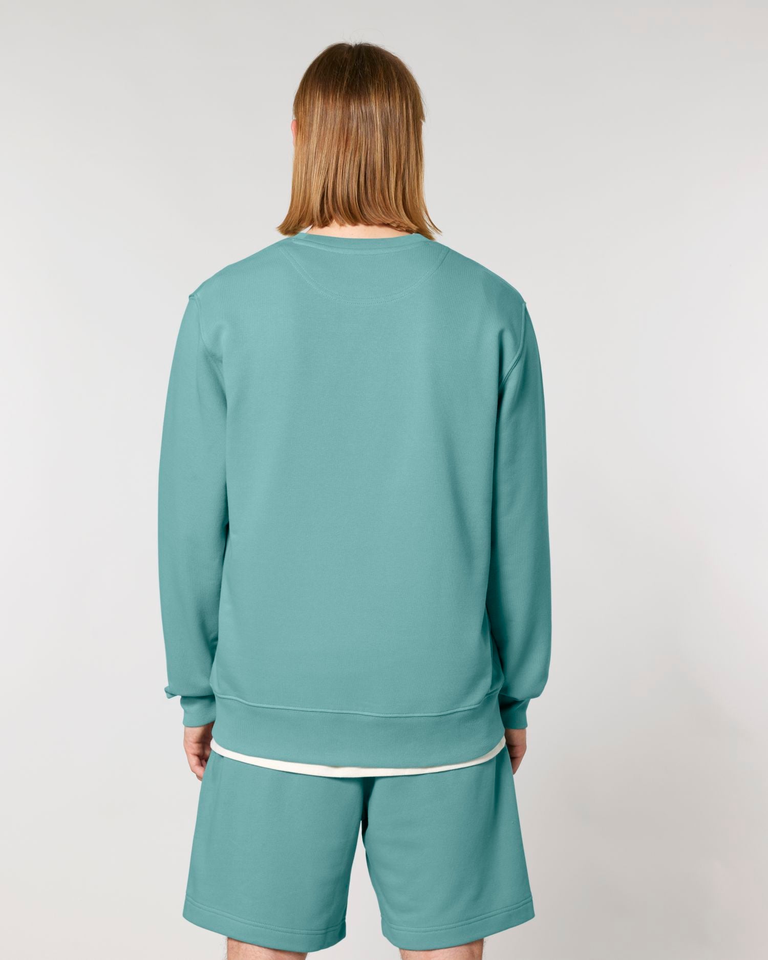 Teal Monstera | STSU799 Studio Main SBM0
