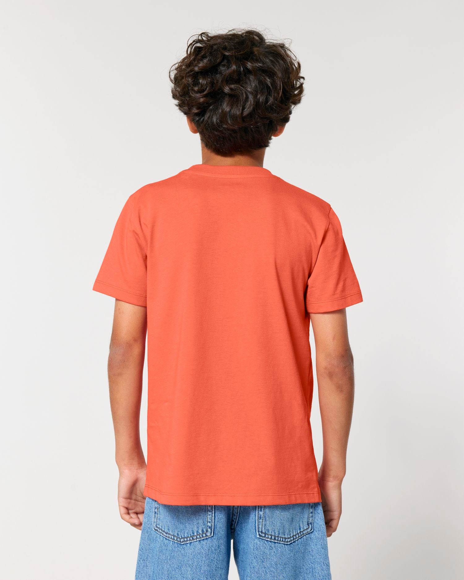 Fiesta | STTK184 Studio Main SBM0