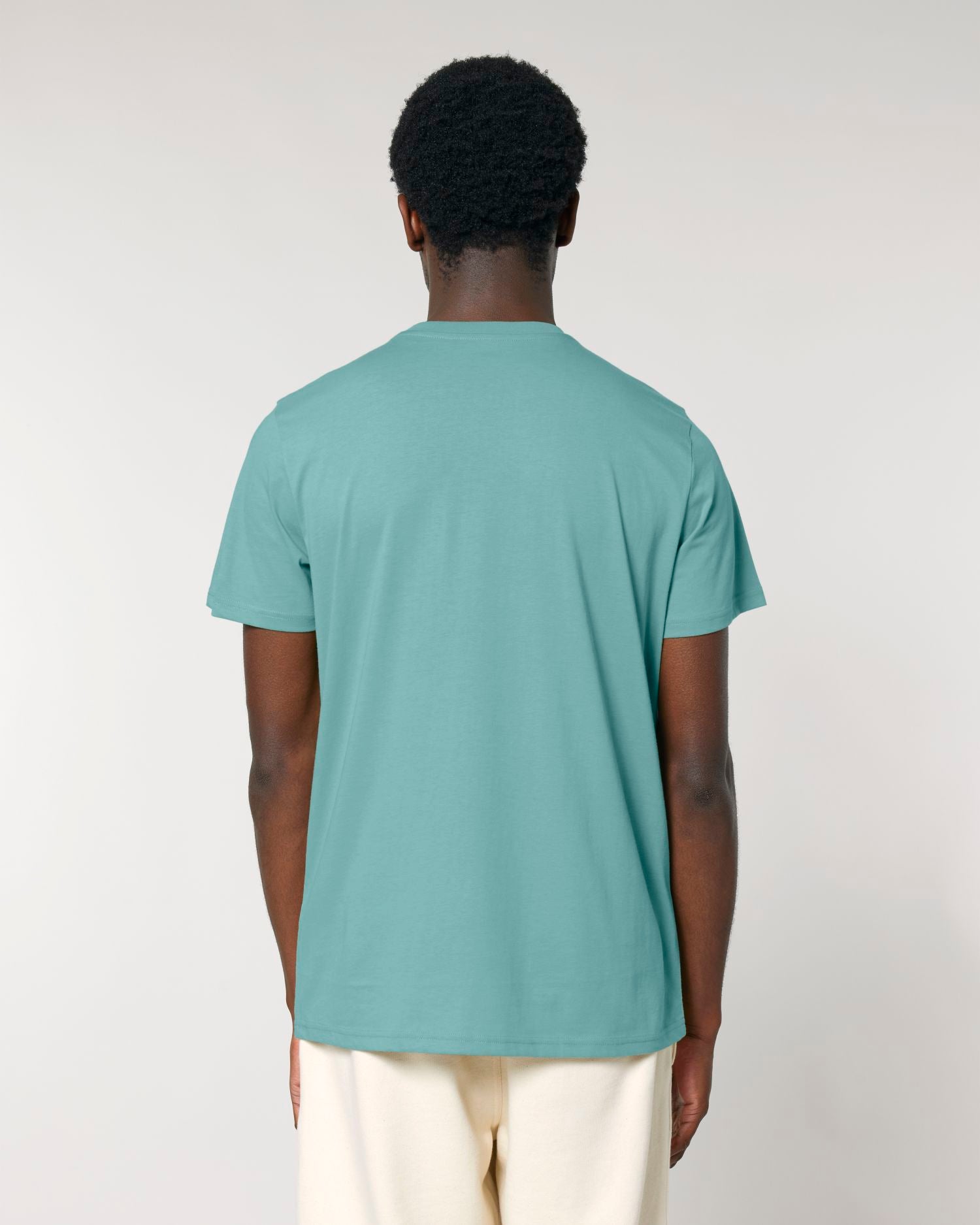 Teal Monstera | STTU170 Studio Main SBM0