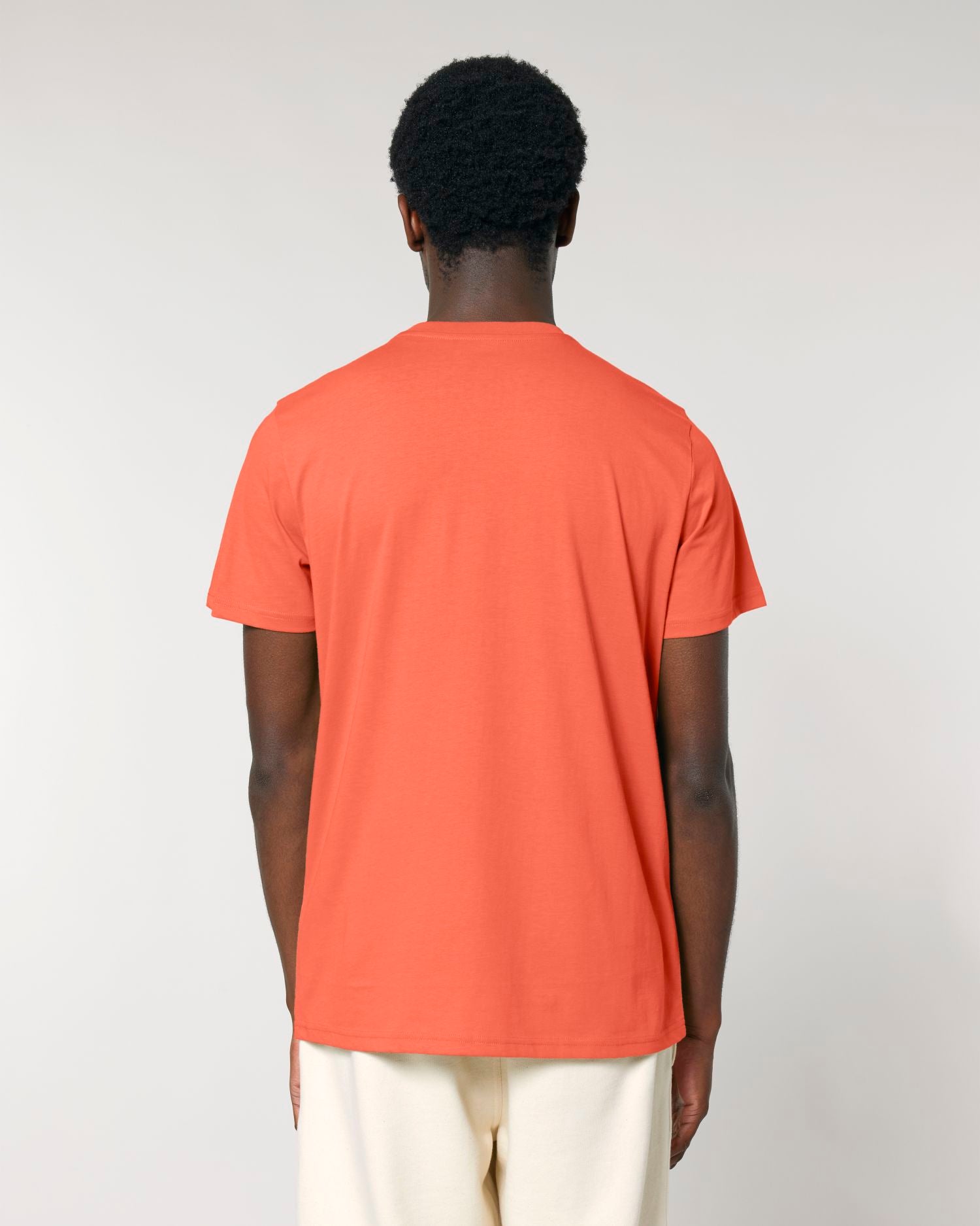 Fiesta | STTU170 Studio Main SBM0